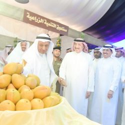 عارضة جازان ..عمالة مخالفة تحول سكنها لمطعم لتجهيز أطعمة بنكهة الحشرات