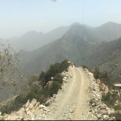 الإسلامية تنظم 13 محاضرة اليوم في جوامع ومساجد جازان حول خطورة الأنتماء لتنظيمي الإخوان والتبليغ