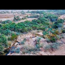 نائب أمير منطقة جازان يتفقد سير العمل بمشروع إسكان “الصفوة جاردن