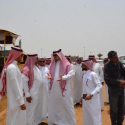 بلدية صامطة تواصل أعمالها لمعالجة مظاهر التشوه البصري