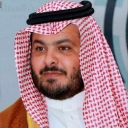 The Options For Root Elements For myperfectwords