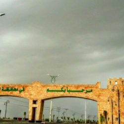 إزالة آخر مزارع القات في جبال العبادل شرق جازان