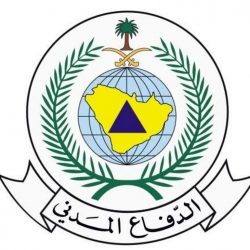 Women in World War I — Belgian War Lace