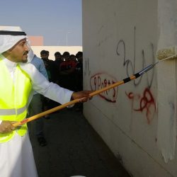 Locating Clear-Cut Advice In essaysreasy