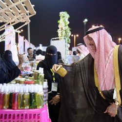 How to Employ Toulmin Research with Cases