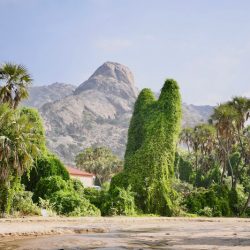 جازان .. بلدية مركز القفل تواصل رش المبيدات الحشرية بشكل مكثف