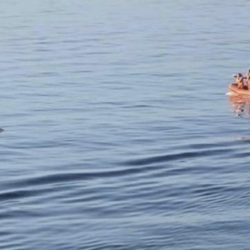 تنفيذ “حكم القتل حدًّا” في مواطن أنهى حياة زوجته طعنًا بجازان