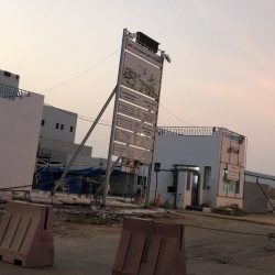 Basic Formal Essay Outline