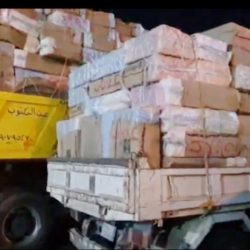 Basic Formal Essay Outline