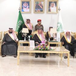 Critical Criteria Of anastasiadate.com – What’s Required