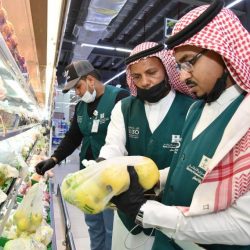 اعفاء وكيل امارة منطقة جازان عبدالله بن صالح المديميغ من منصبه