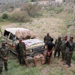 جازان تسهم في تعزيز الأمن الغذائي بـ20٪ من الإنتاج السمكي للمملكة