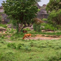 ترقية “العياشي” إلى رتبة عقيد