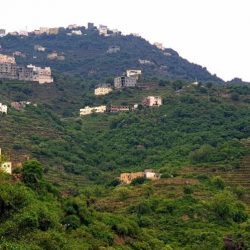 نائب أمير منطقة جازان يدشن عبر -الاتصال المرئي- برنامج المسعف الإلكتروني بالمنطقة