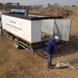 “الصحة”: تسجيل  348 حالة إصابة بكورونا .. وتعافي 373 خلال الـ24 ساعة الماضية