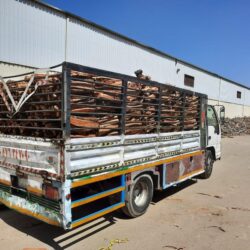 “الصحة”: تسجيل 323 حالة إصابة بكورونا .. وتعافي 335 خلال الـ24 ساعة الماضية