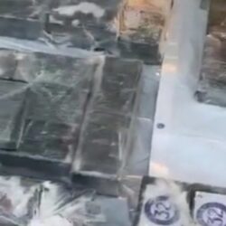 “الصحة”: تسجيل 399 حالة إصابة بكورونا .. وتعافي 426 خلال الـ24 ساعة الماضية