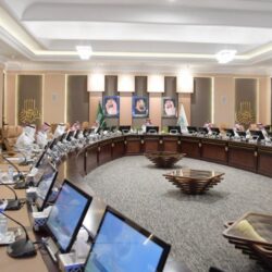 “أبو رمح”.. مرض قاتل يداهم المواشي بجازان محولاً أجسادها لهياكل عظمية