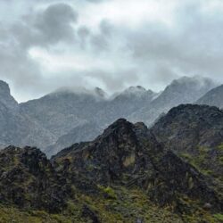 نائب أمير جازان : حديث سمو ولي العهد تجسيداً للرؤية الحكيمة والنظرة المستقبلية لعلو ورفعة الوطن