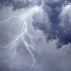 اجتماع خليجي – عالمي لمناقشة موضوع مفاوضات التجارة الحرة