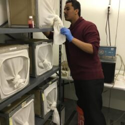 شاهد.. فيديو يرصد ألغام الحوثي “صدف” جنوب البحر الأحمر