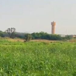 ميناء جازان يستقبل أول شحنة أنعام من البرازيل