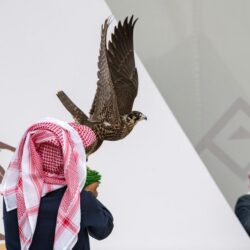 البنك المركزي السعودي: الأوراق النقدية والعملات والتي تحمل مسمى مؤسسة النقد ستستمر في التداول