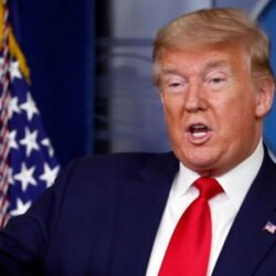 أسراب من الجراد تصل القنفذة و”البيئة” تدعو للابتعاد عن مواقع الإصابة