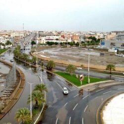 وسط إجراءات احترازية.. انطلاق النسخة الثالثة لمهرجان الملك عبدالعزيز للصقور