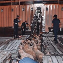 جولات ميدانية لمدير تعليم صبيا ومساعديه للوقوف على سير الاختبارات عن بعد