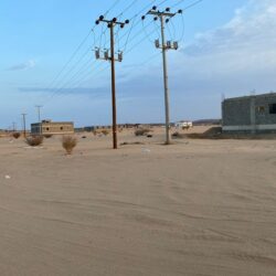 “الصحة”: تسجيل 230 حالة إصابة بكورونا .. وتعافي 368 خلال الـ24 ساعة الماضية