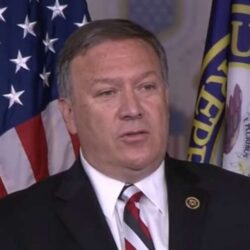 سعودية تعرض أكبر لوحة في العالم بمناسبة اليوم الوطني الإماراتي