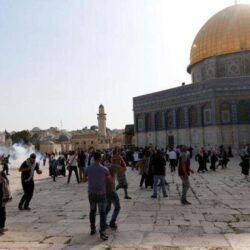 ميناء جازان يستقبل أول شحنة أنعام من رومانيا