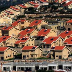 “سكني”: ارتفاع نسب الحجوزات في ضاحية الجوان إلى 79% حتى نهاية 2020