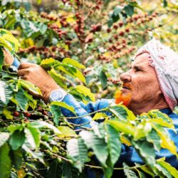 البيت الأبيض يدعو إلى “تقييد نووي إيران”.. و”سوليفان” يناقش ملفات الملالي أوروبيًا