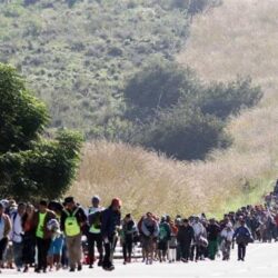 مع صيحات الأطفال.. أسراب الجراد تداهم جازان والأهالي يتساءلون!