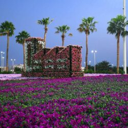 ولي العهد يعتمد استراتيجية صندوق الاستثمارات العامة حتى 2025