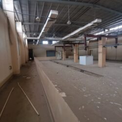 “الصحة”: تسجيل 337 حالة إصابة بكورونا.. وتعافي 346 خلال الـ24 ساعة الماضية