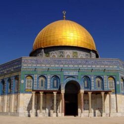 المملكة تعرب عن قلقها لتنامي وتيرة خطاب الكراهية ضد المسلمين حول العالم