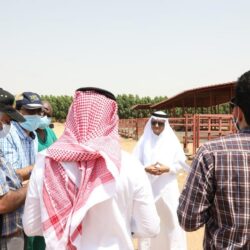 “عقوباتنا لا تزال على الطاولة”.. ألمانيا تحذِّر تركيا من إرسال رسائل خاطئة للاتحاد الأوروبي