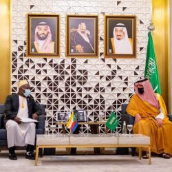 نائب الشورى يلتقي وكيل وزارة الخارجية لشؤون الدبلوماسية العامة