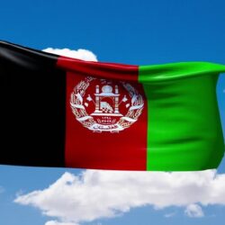 “الصحة”: تسجيل 510 حالات إصابة بكورونا.. وتعافي 372 خلال الـ24 ساعة الماضية