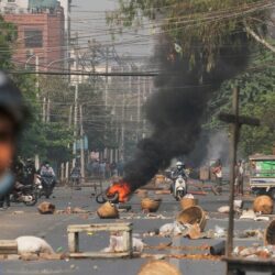 أسبوع البيئة.. بانوراما تفاعلية تنتصر للغطاء النباتي والحياة الفطرية والبحرية