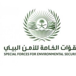 شاهد.. لقطات توثق عملية تدمير زورقين مفخخين لمليشيا الحوثي بالحديدة