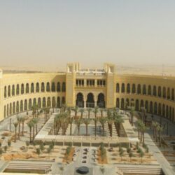 “الصحة”: تسجيل 585 حالة إصابة بكورونا.. وتعافي 369 خلال الـ24 ساعة الماضية