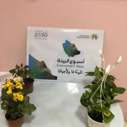 “الصحة”: تسجيل 502 حالة إصابة بكورونا.. وتعافي 355 خلال الـ24 ساعة الماضية