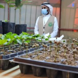 اقبال واسع على مهرجان البن .. فرصة للتعريف بالمنتج ذي الجودة العالية وتسويقه على نطاق واسع