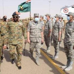 القوات الخاصة للأمن البيئي توقف 61 مخالفاً لنظام البيئة