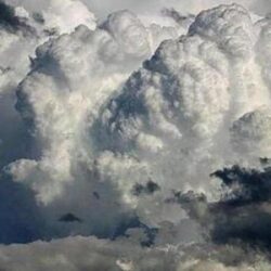 “تعليم صبيا” يحقق 13 ميدالية في مسابقة “كانجارو موهبة 2021”