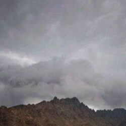 “مرور صامطة” يفعّل حملة للتعريف بالرخصة الرقمية